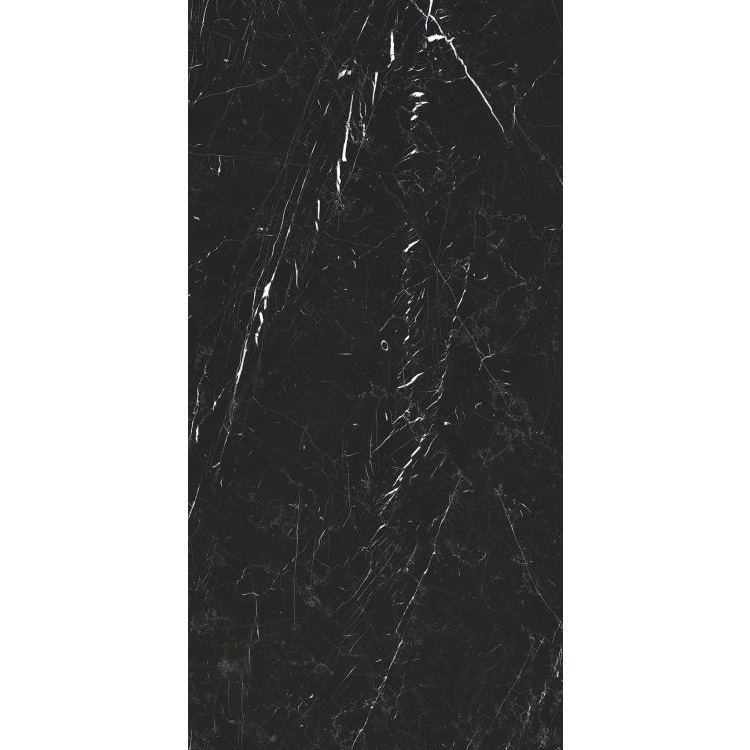 Classici Marquinia Glossy 24 x 48 Porcelain Tile