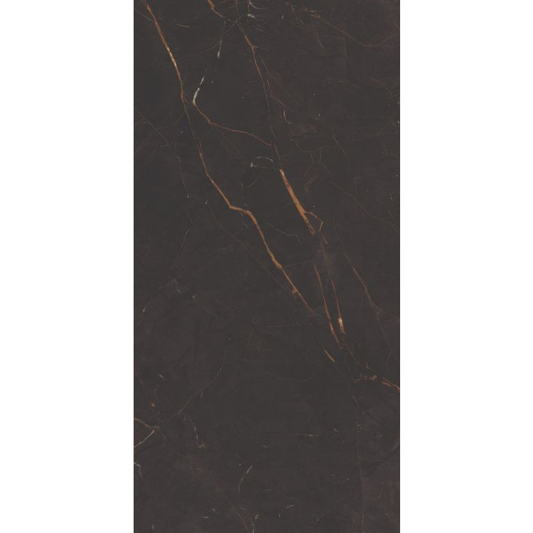 Galaxia Black Levigato 12 x 24 Porcelain Tile