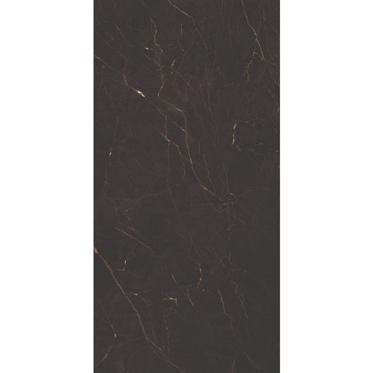 Galaxia Black Levigato 24 x 48 Porcelain Tile