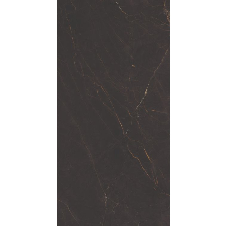 Galaxia Black Matte 24 x 48 Porcelain Tile