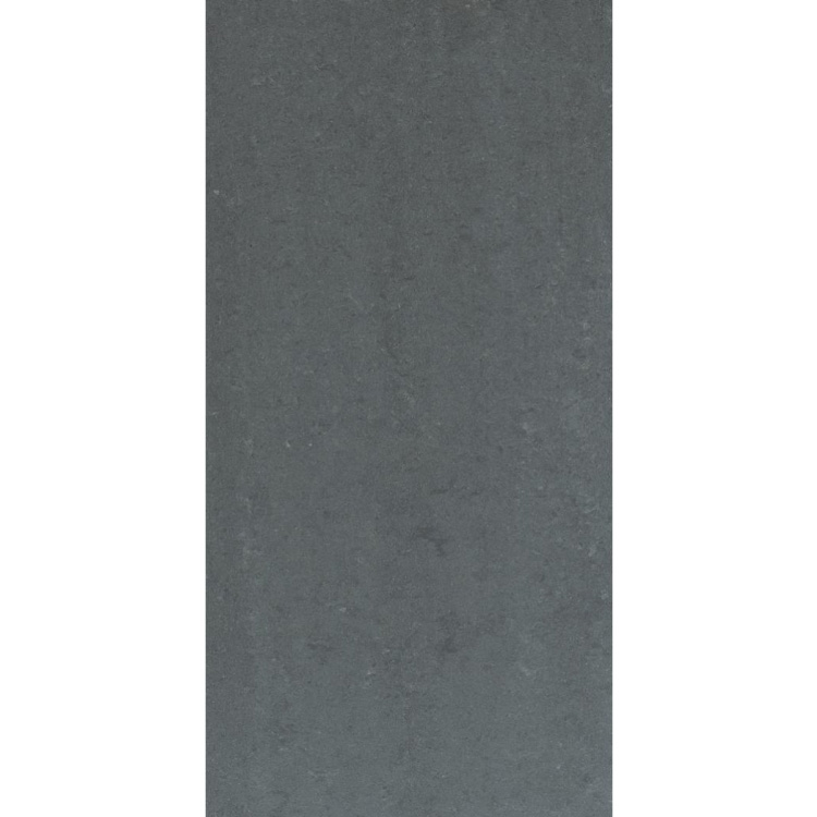 Grey Dark Polished 12 x 24 Porcelain Tile