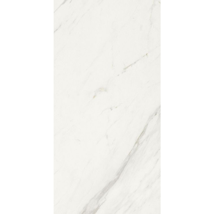 Marmi Calacatta Levigato 12 x 24 Porcelain Tile