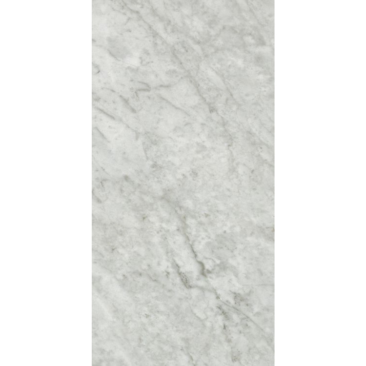 Marmi Carrara Levigato 12 x 24 Porcelain Tile
