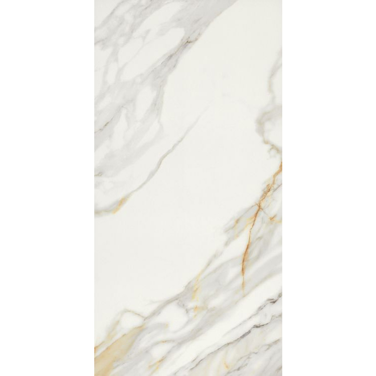 Marmi Macchiavecchia Levigato 24 x 48 Porcelain Tile