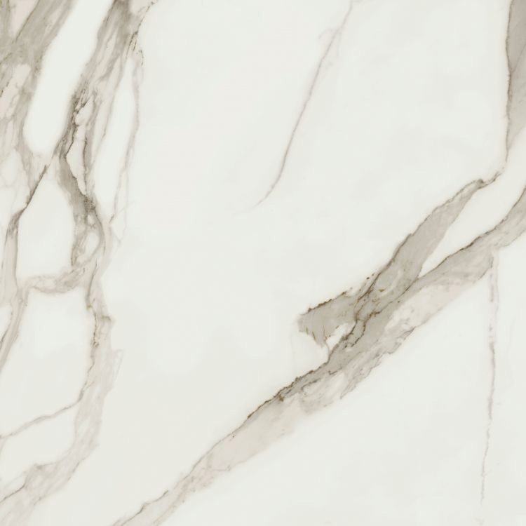 Prestigio Calacatta Soft 48 x 48 Porcelain Tile