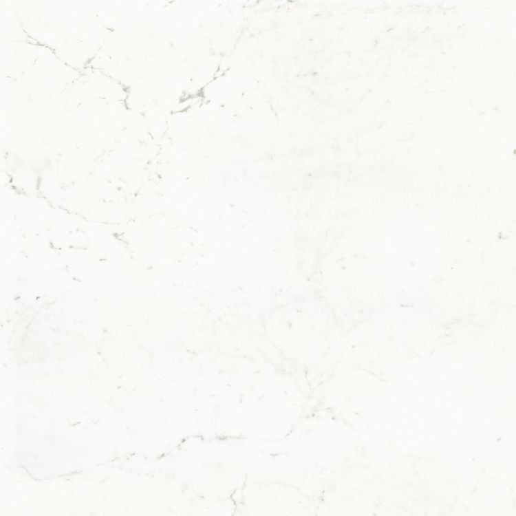 Pure Carrara Lux 48 x 48 Porcelain Tile