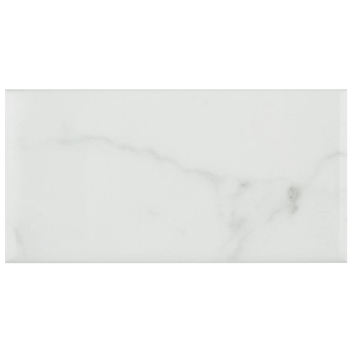Ceramic Tile in 6 x 3in Carrara Glossy White colorway