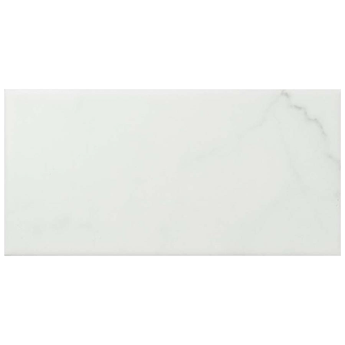 Ceramic Tile in 6 x 3in Carrara Matte White colorway