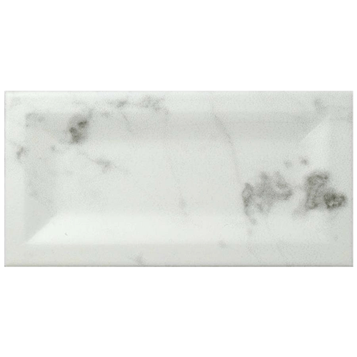 Ceramic Tile in 6 x 3in Carrara Matte Inmetro colorway