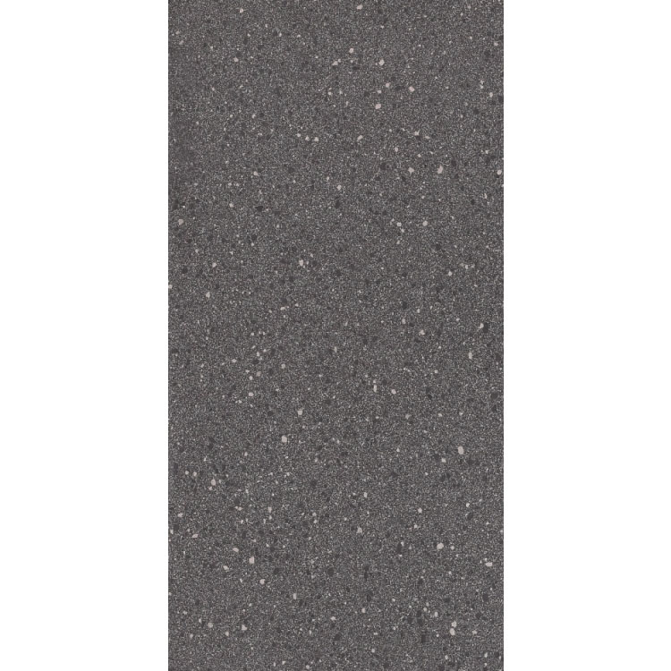Rock 2009 Flat Black 12 x 24 Porcelain Tile