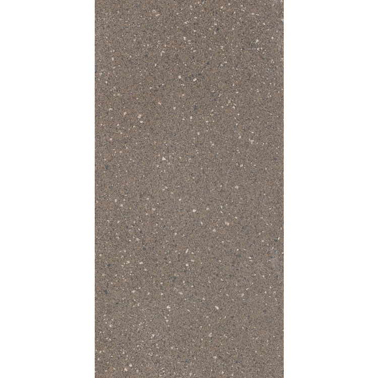 Rock 2010E 12 x 24 Porcelain Tile