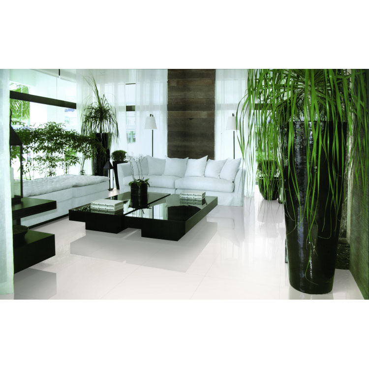 Super White Polished 12 x 24 Porcelain Tile