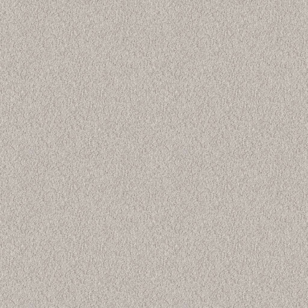 Alluring Canvas 12ft