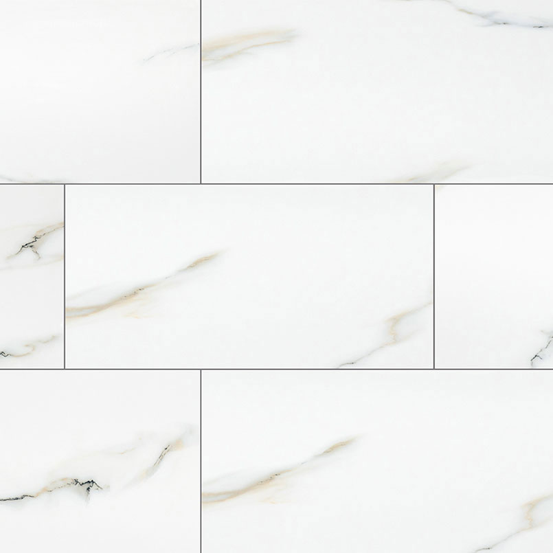 Porcelain tile in Aria Bianco 24x48