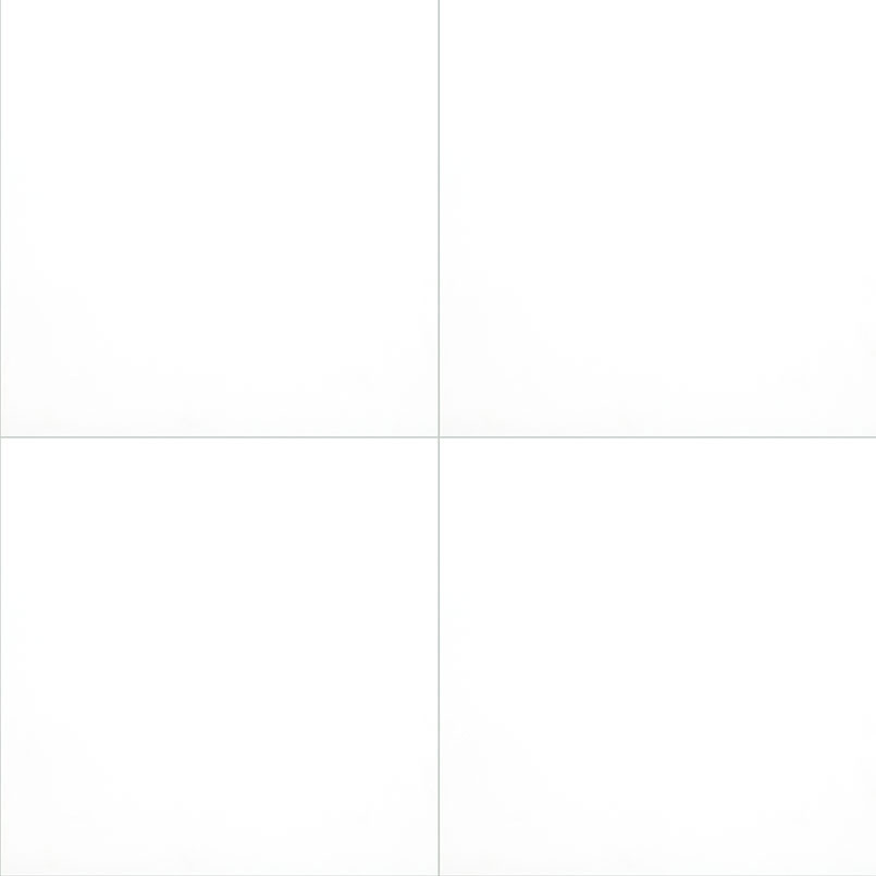 Porcelain tile in Domino White 24x24 Polished