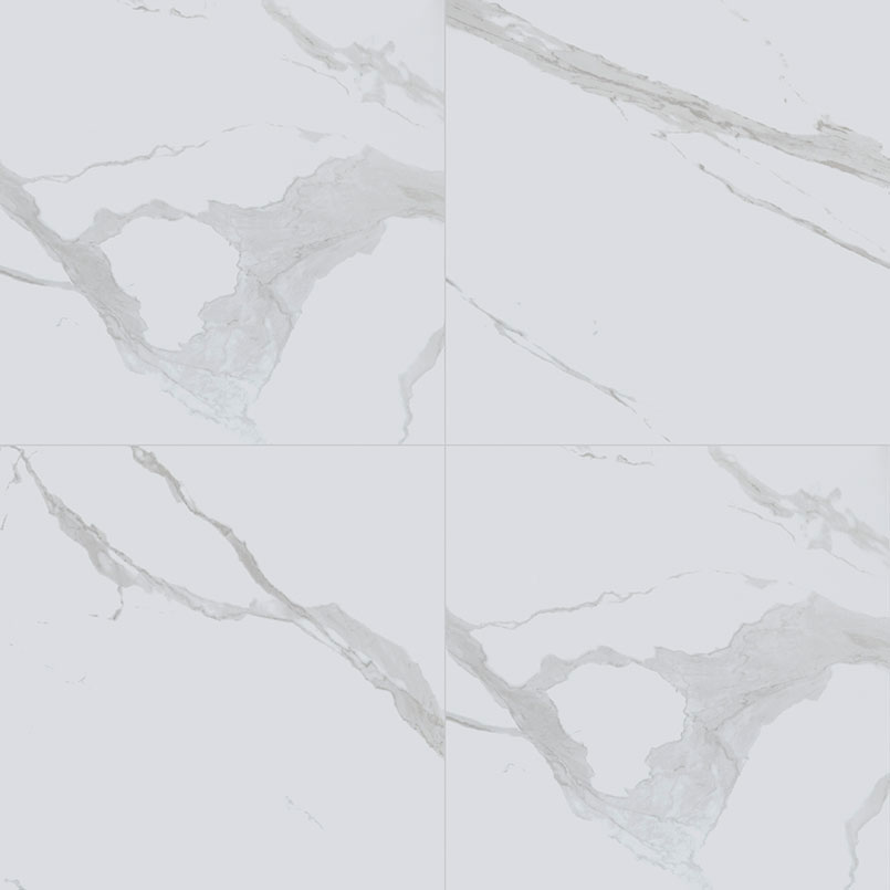 Porcelain tile in Eden Statuary 24x24 Polished