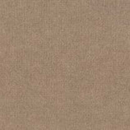 Backdrop 2 12