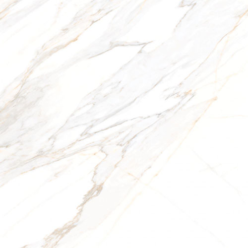 Aurum Calacatta Polished 48 x 48 Porcelain Tile