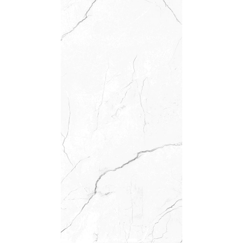 EC Elegance White Matte 24 x 48 Porcelain Tile