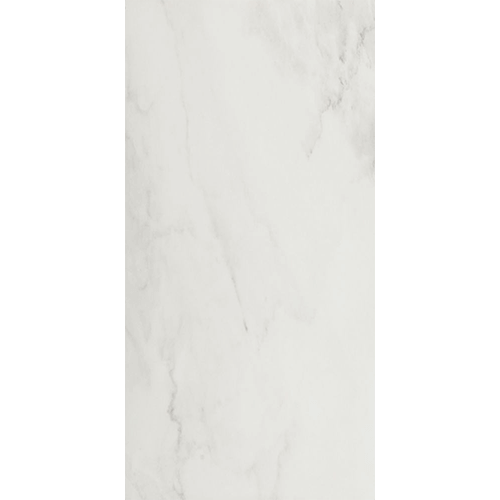 EC Snow Matte 24 x 48 Porcelain Tile