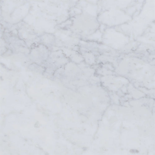 Bianco Carrara Honed 12 x 12 Marble Tile