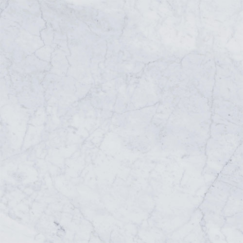 Bianco Carrara Polished 24 x 24 Marble Tile