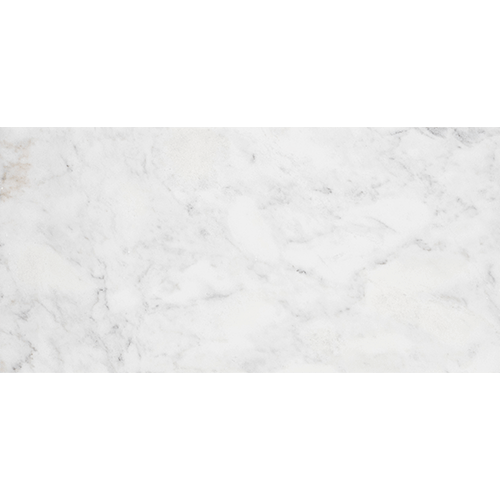 Calacatta Arc Polished 12 x 12 Marble Tile