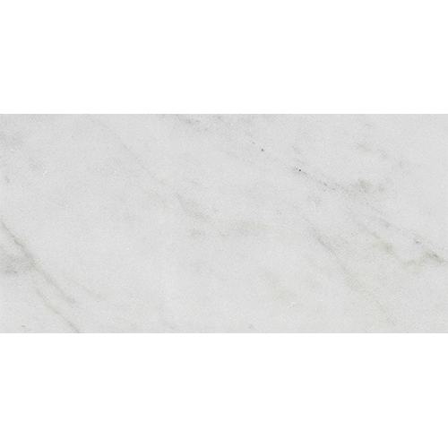 Calacatta Gris Honed 12 x 24 Marble Tile