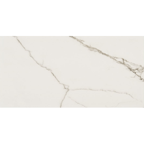Lithe Statuario Venato 12x24 Matte Porcelain Tile