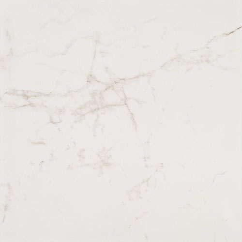 Lithe Statuario Venato 24x24 Polished Porcelain Tile