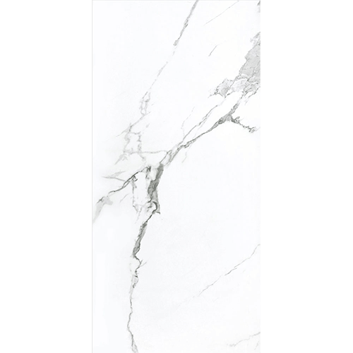 Calacatta Matte White Porcelain Tile