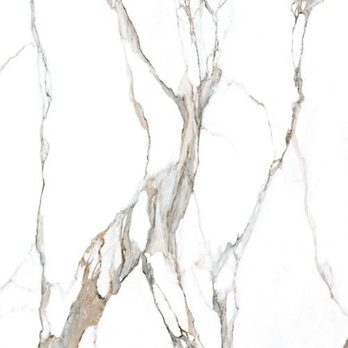 Calacatta Fantasy Topo Polished 48" x 48" Porcelain Tile