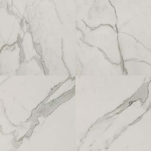 Regallo Calacatta Isla 24x24 Polished