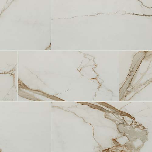 Regallo Calacatta Marrbella 12x24 Matte