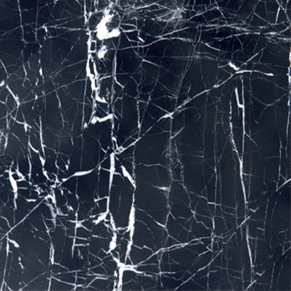 Black With Vein 12x12 Polished