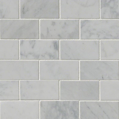 Carrara White 2x4 Mosaic