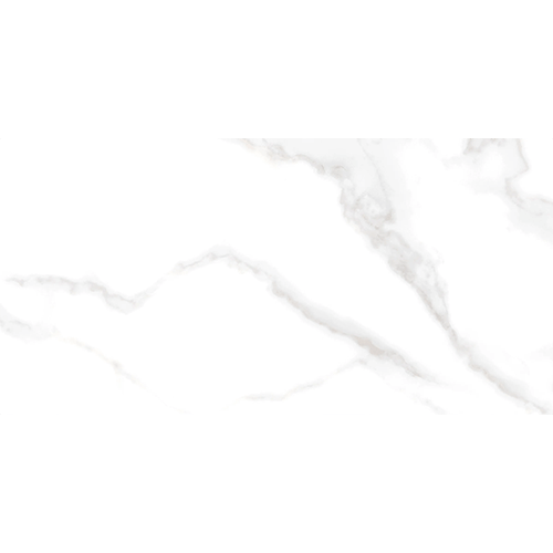 Serendra Polished 24" x 47" Luna Porcelain Tile