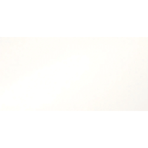 Times Square Polished 12" x 24" White Porcelain Tile