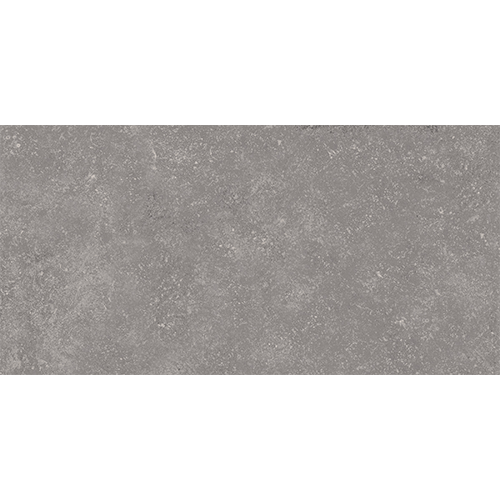 Xtra 2cm Paver 16" x 31" Ashmont Gray Porcelain Tile