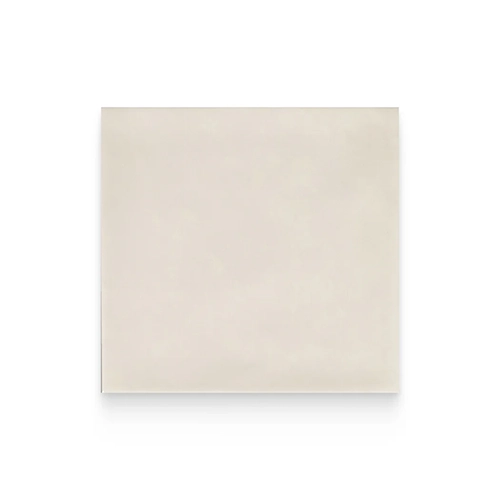 Country Mushroom 5" x 5" Square Glossy