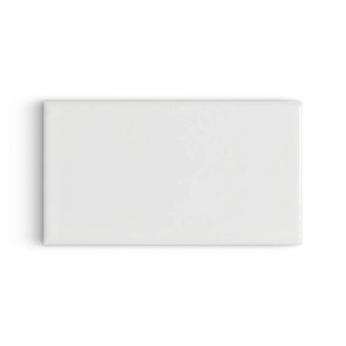 Koi Day 2.5" x 4.25" Rectangle Glossy