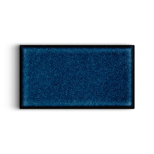 Koi Ocean 2.5" x 4.25" Rectangle Glossy