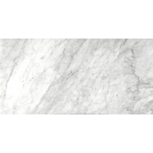 Marble Bianco Gioia Polished 12" x 24" Tile