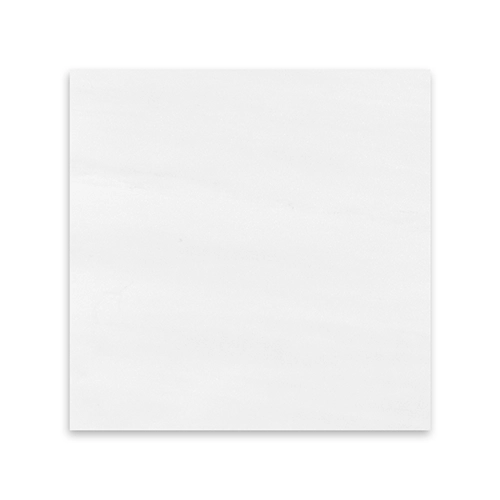 Bianco Dolomite 12" x 12" Polished