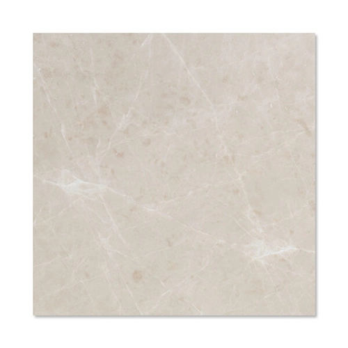 Botticino Turkish 24" x 24" Polished