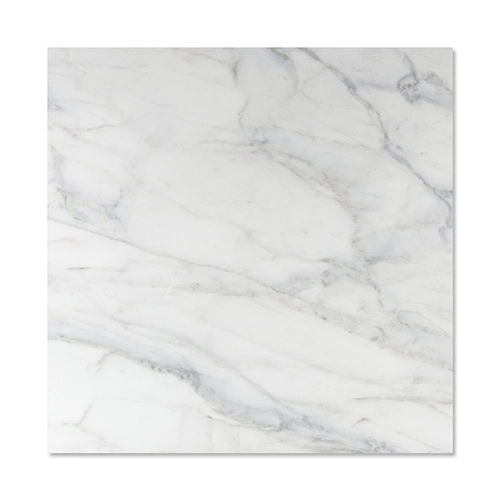 Calacatta Caldia 24" x 24" Honed