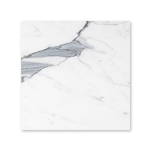 Calacatta Gold 12" x 12" Honed