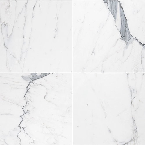 Calacatta Gold 12" x 12" Polished