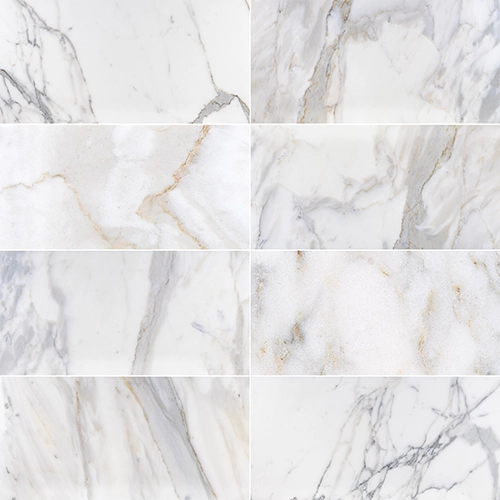 Calacatta Gold 12" x 24" Polished