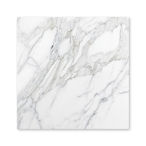 Calacatta Gold 12" x 24" Honed